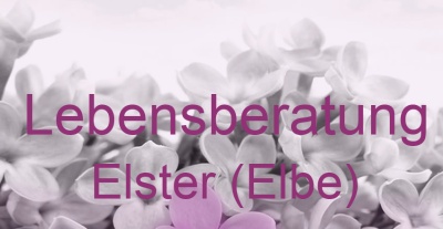 Lebensberatung Elster (Elbe) | Top-Experten für Kartenlegen, Wahrsagen, Hellsehen, Zukunftsdeutung.